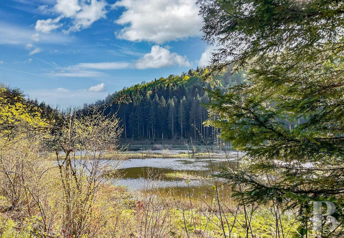 Dans le Haut-Jura, une ancienne ferme du 18e siècle dédiée à la découverte d’une nature préservée - photo  n°16