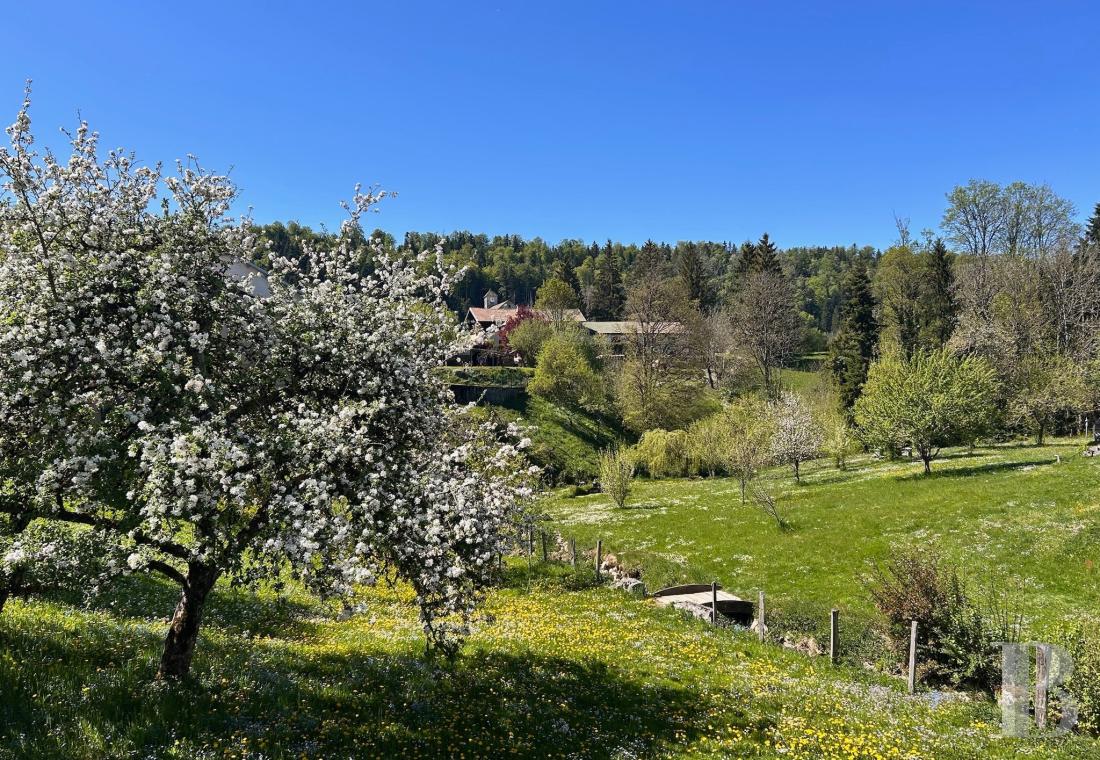 An 18th-century farmhouse dedicated to exploring unspoilt nature in the Haut-Jura - photo  n°3
