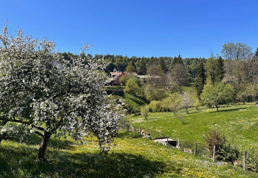 Dans le Haut-Jura, une ancienne ferme du 18e siècle dédiée à la découverte d’une nature préservée - photo  n°3