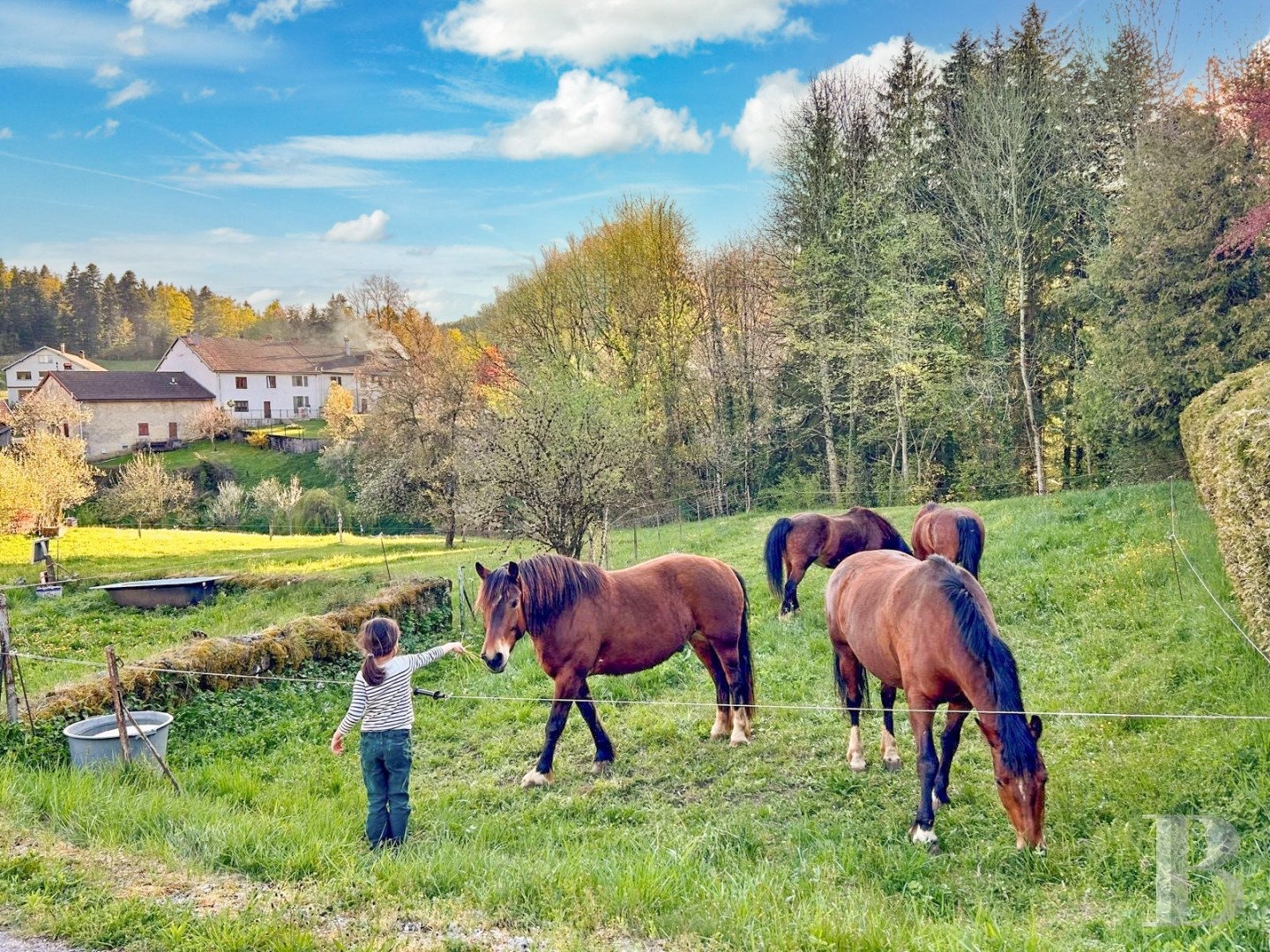 Dans le Haut-Jura, une ancienne ferme du 18e siècle dédiée à la découverte d’une nature préservée - photo  n°17