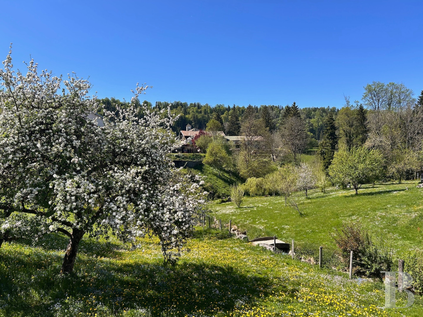 An 18th-century farmhouse dedicated to exploring unspoilt nature in the Haut-Jura - photo  n°3