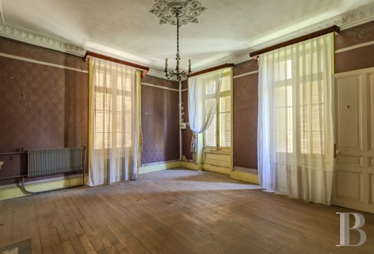 chateaux a vendre rhones alpes   - 10