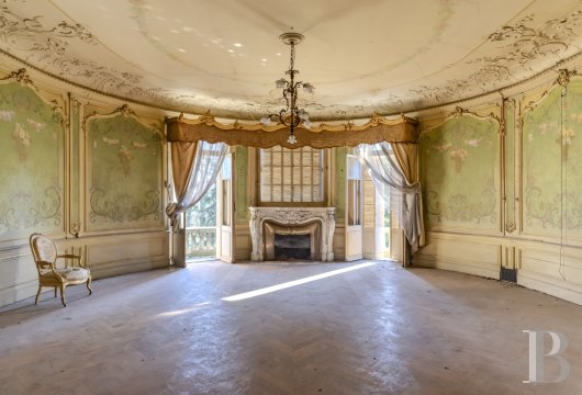 chateaux a vendre rhones alpes   - 15