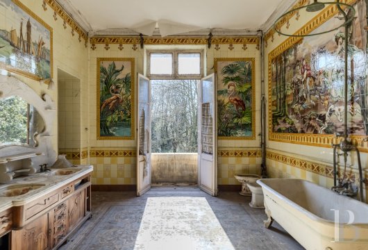 chateaux a vendre rhones alpes   - 18