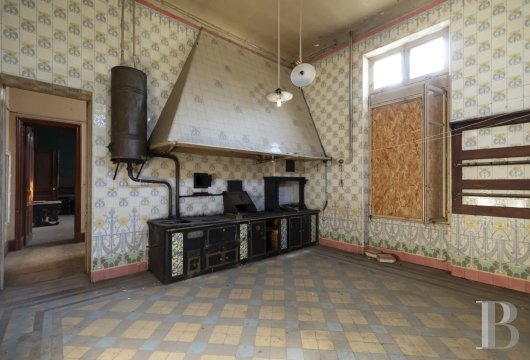 chateaux a vendre rhones alpes   - 12