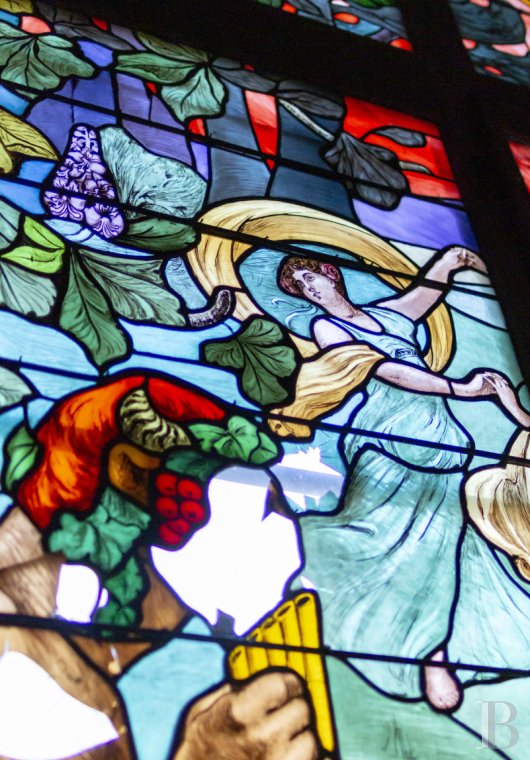 chateaux a vendre rhones alpes   - 20