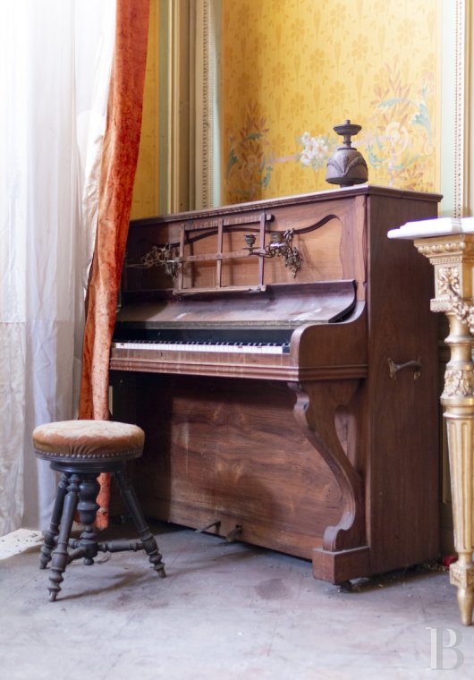 chateaux a vendre rhones alpes   - 11