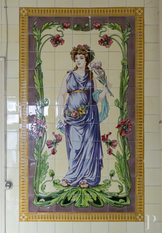 chateaux a vendre rhones alpes   - 17