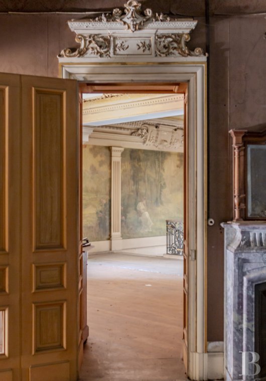 chateaux a vendre rhones alpes   - 9