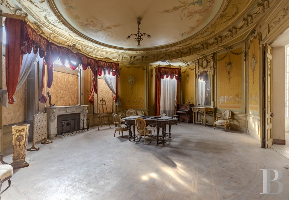 chateaux a vendre rhones alpes   - 7