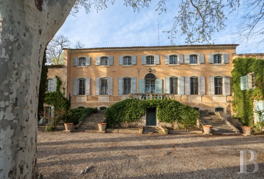 provence-cote-dazur - An 18th-century country house of 600 m², with natural swimming pool, park  and 19-hectare olive-growing estate, 15 minutes from Avignon TGV station 