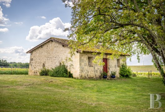 chateaux a vendre aquitaine   - 18