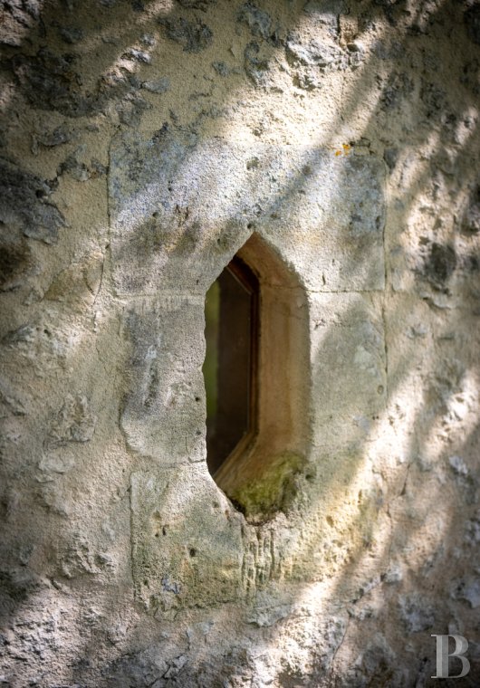 chateaux a vendre aquitaine   - 5