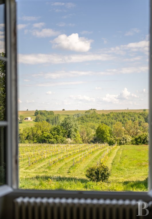 chateaux a vendre aquitaine   - 15