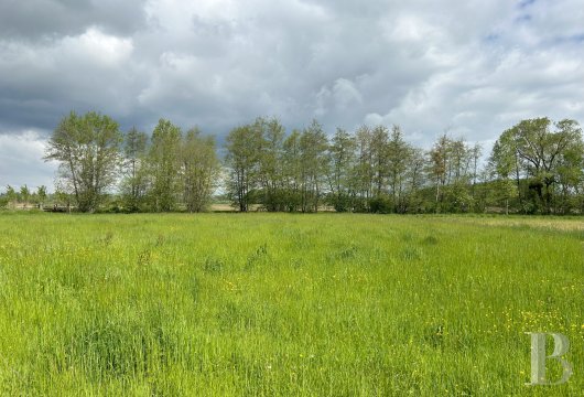 character properties France burgundy   - 14
