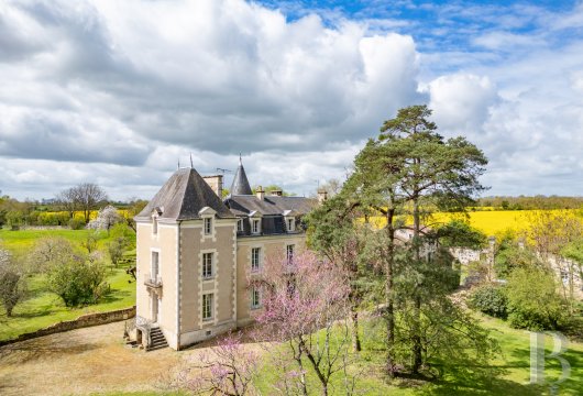 poitou-charentes - A manor house, two gites and outbuildings in 8 hectares  of wooded grounds in a village, 30 minutes from Poitiers 