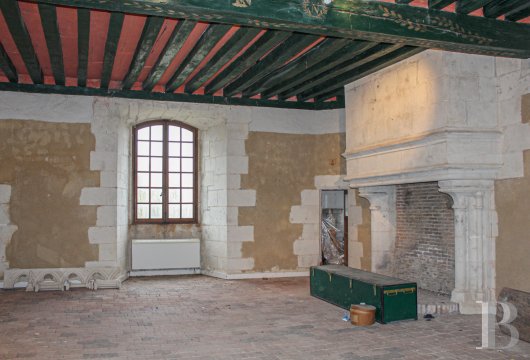 chateaux for sale France center val de loire   - 11