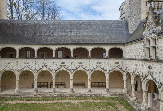 chateaux for sale France center val de loire   - 4