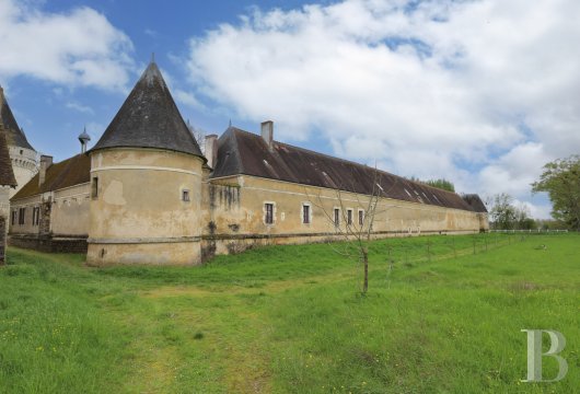 chateaux for sale France center val de loire   - 20