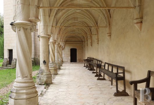 chateaux a vendre centre val de loire   - 5