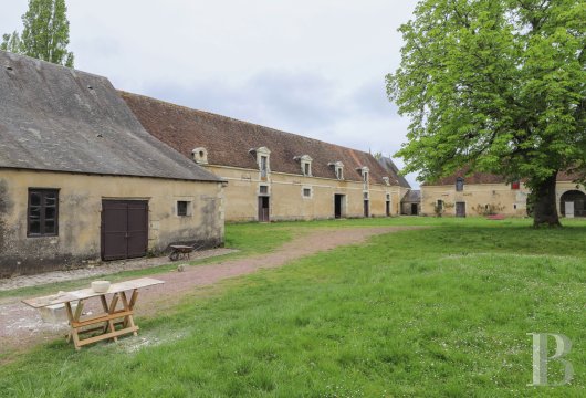 chateaux for sale France center val de loire   - 18