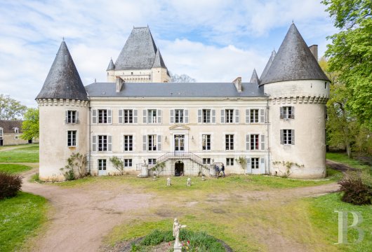 chateaux for sale France center val de loire   - 2