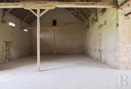 chateaux for sale France center val de loire   - 21