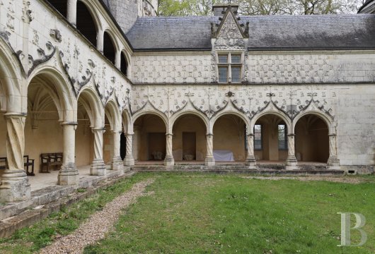 centre-val-de-loire - En région Centre Val de Loire, dans un parc clos de 35 ha avec un étang un château classé MH et ses vastes dépendances 
