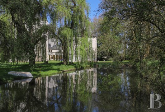 chateaux for sale France center val de loire   - 19