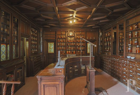 chateaux for sale France center val de loire   - 13