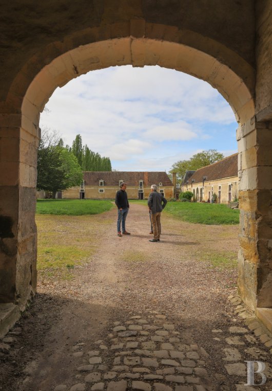 chateaux for sale France center val de loire   - 17