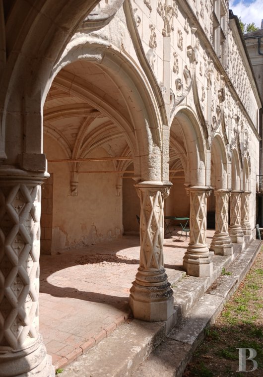 chateaux for sale France center val de loire   - 5