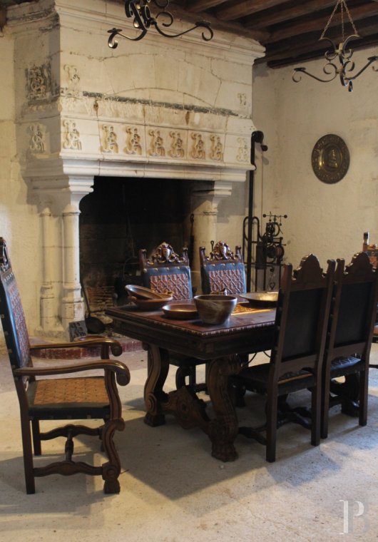 chateaux for sale France center val de loire   - 10