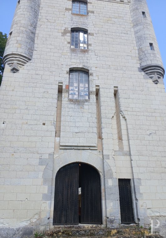 chateaux for sale France center val de loire   - 7