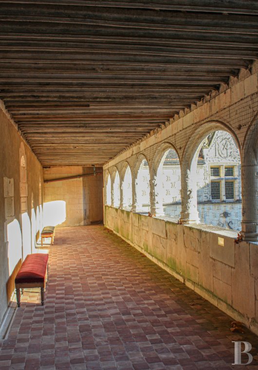 chateaux for sale France center val de loire   - 5