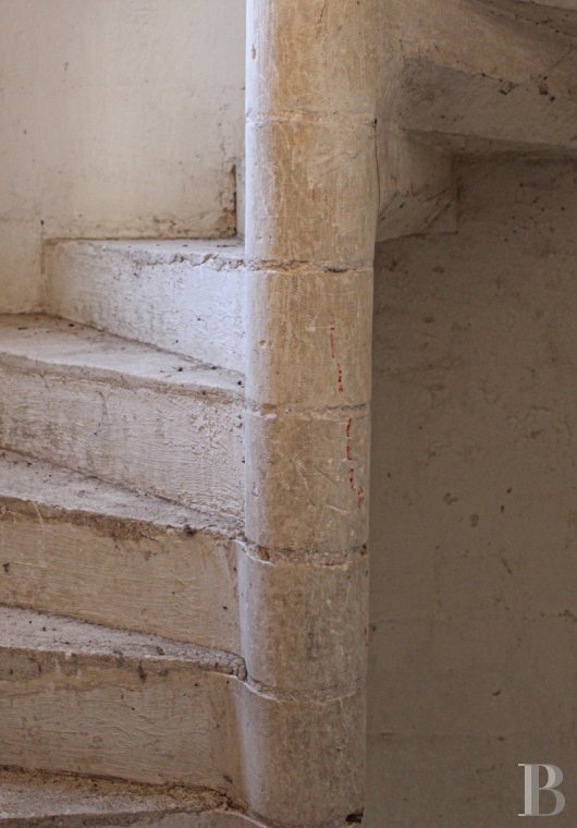 chateaux for sale France center val de loire   - 6