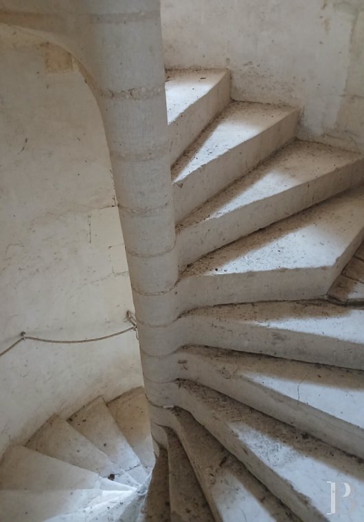 chateaux for sale France center val de loire   - 17
