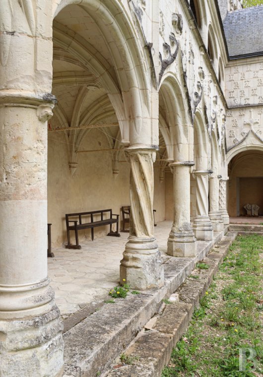 chateaux for sale France center val de loire   - 7