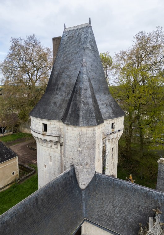 chateaux for sale France center val de loire   - 8