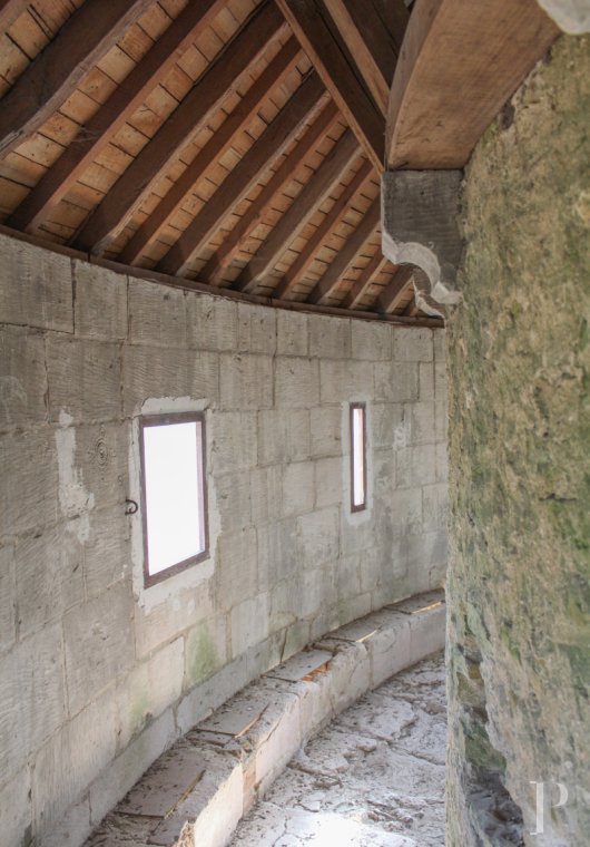 chateaux for sale France center val de loire   - 9