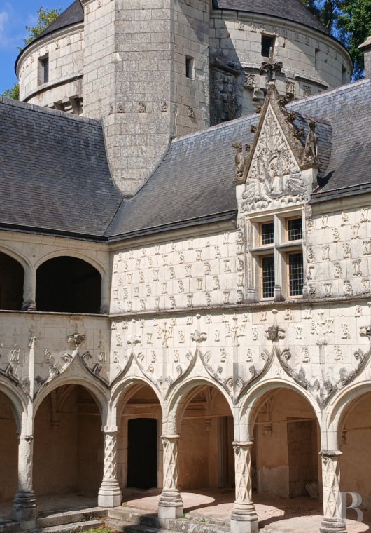 chateaux for sale France center val de loire   - 4