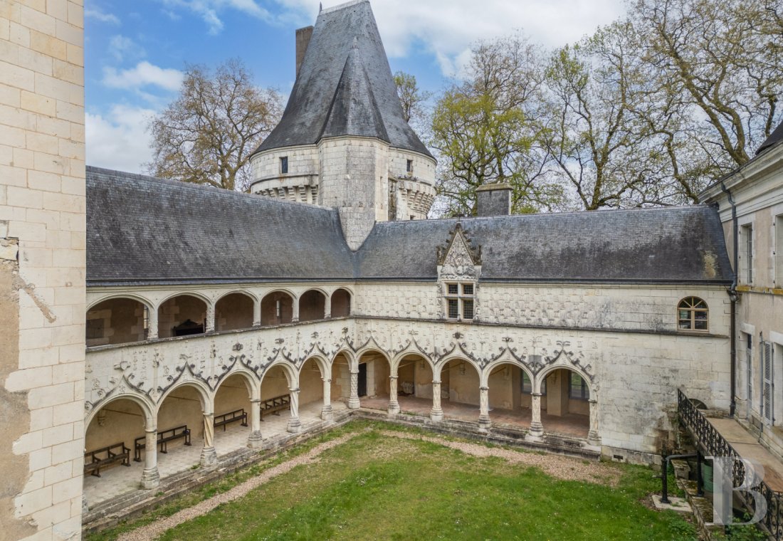 chateaux a vendre centre val de loire   - 2