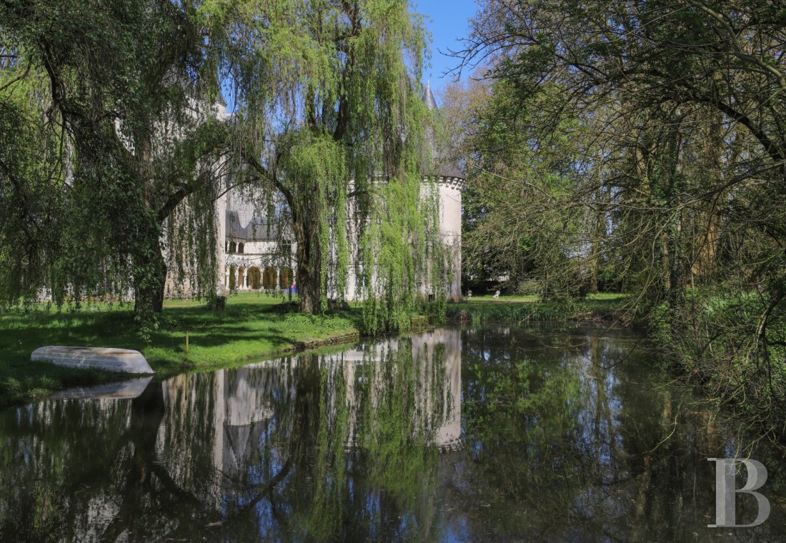 chateaux for sale France center val de loire   - 15