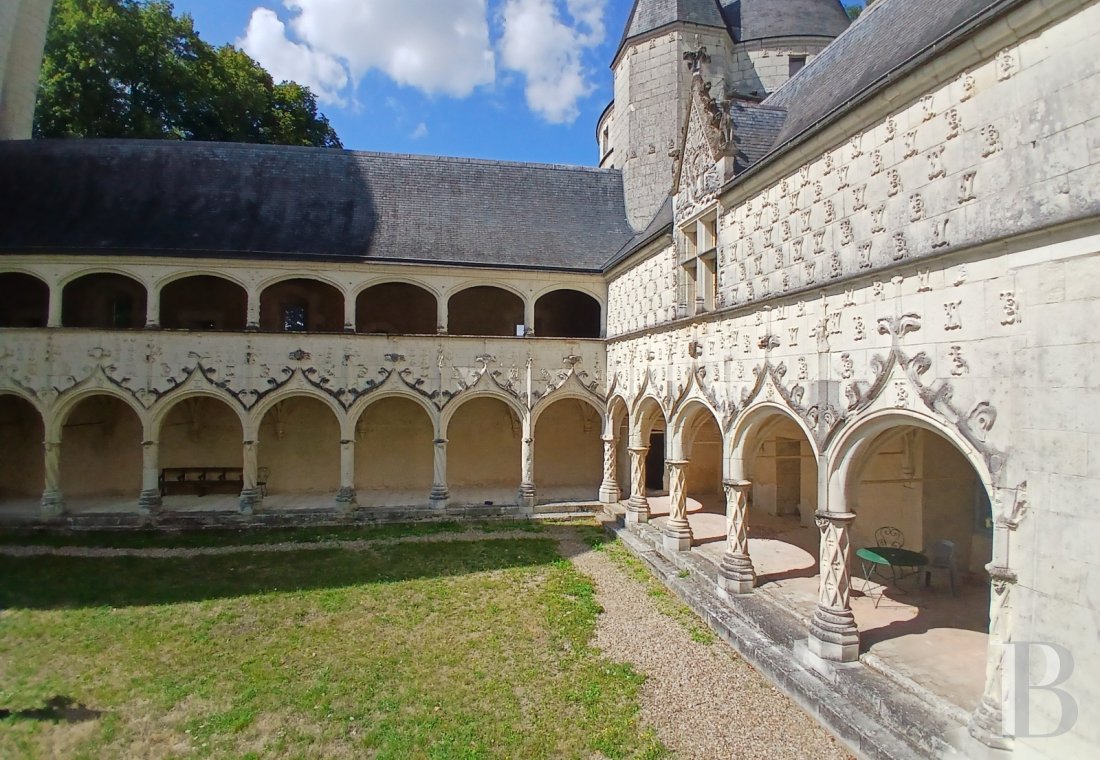 chateaux for sale France center val de loire   - 3