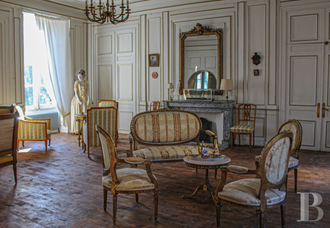 chateaux for sale France center val de loire   - 11