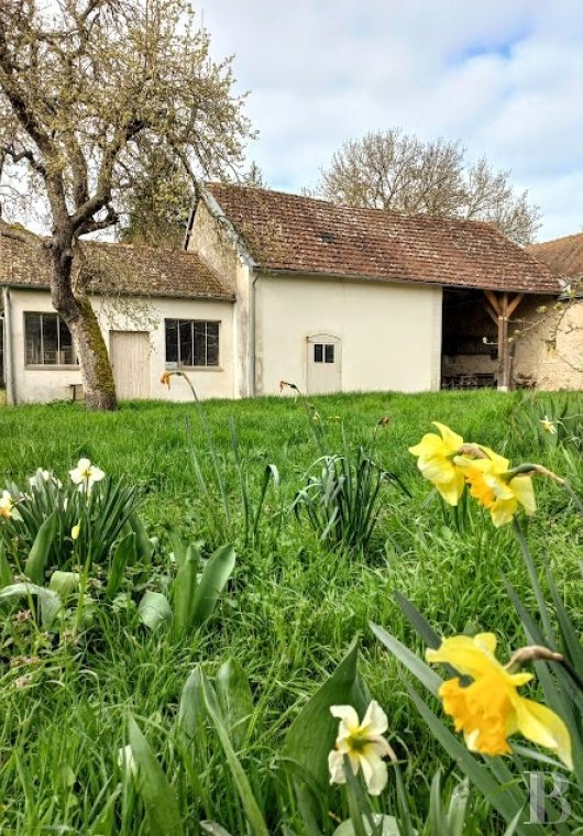 proprietes a vendre centre val de loire   - 10