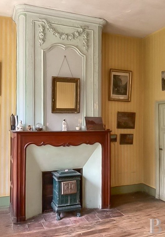 chateaux for sale France aquitaine   - 12