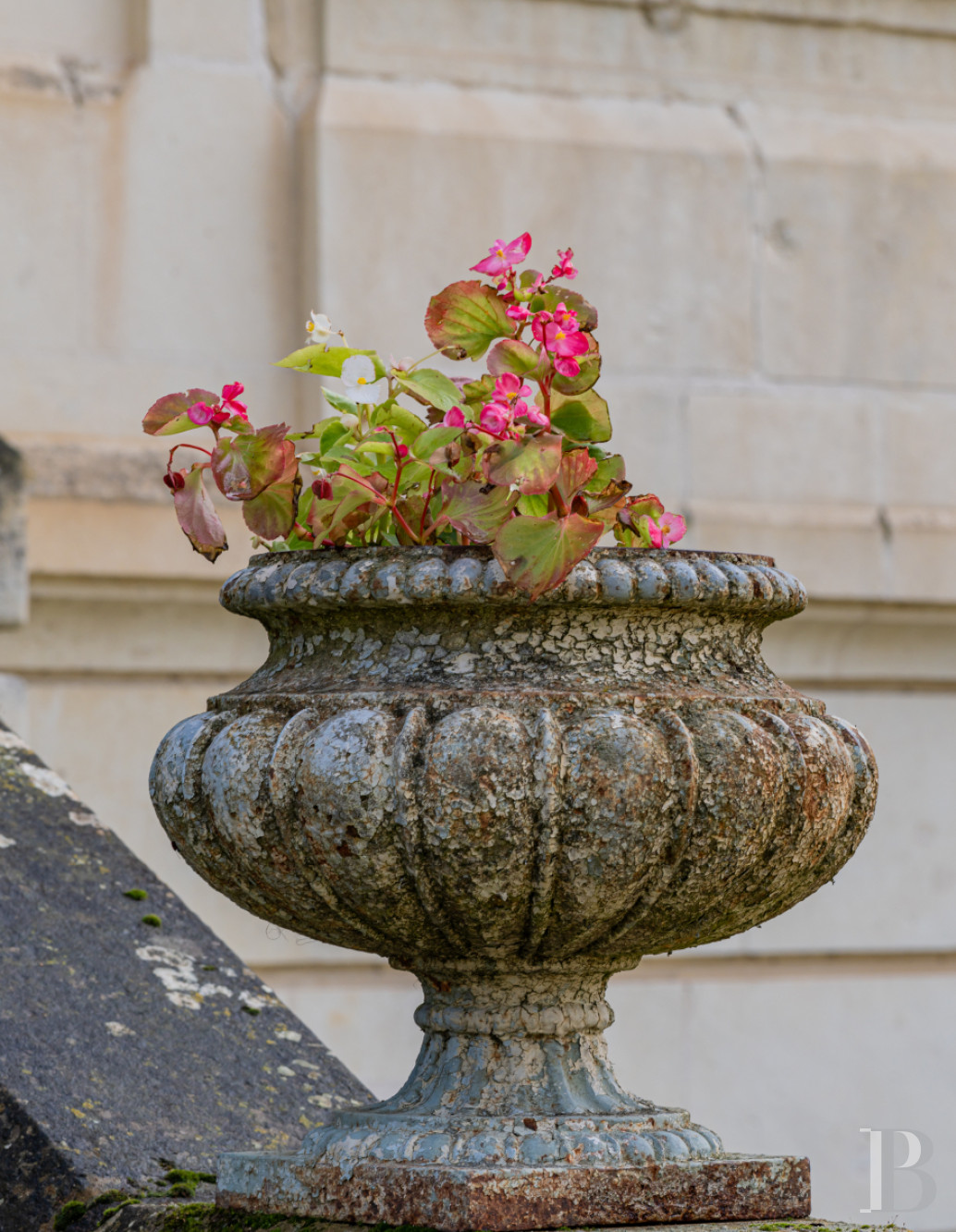 A 19th-century hunting lodge, transformed into a château focusing on the arts near Richelieu, in Indre-et-Loire - photo  n°37