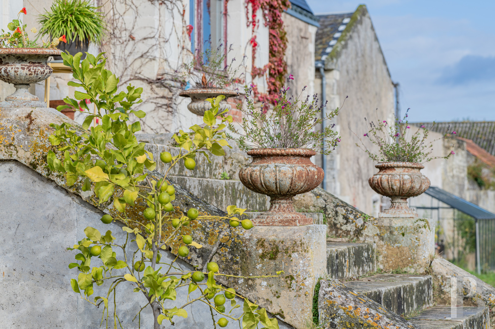A 19th-century hunting lodge, transformed into a château focusing on the arts near Richelieu, in Indre-et-Loire - photo  n°36