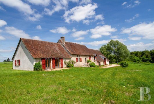 center-val-de-loire - A 16th-century farmhouse with five hectares of grounds, nestled in the Loire Valley between Amboise and Blois